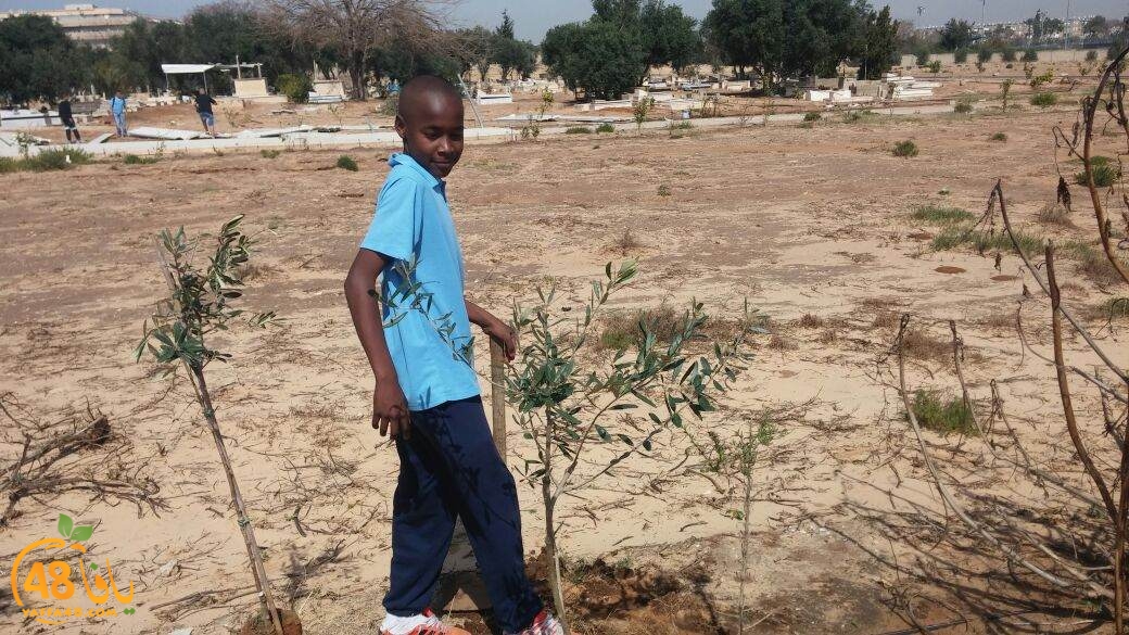 shajar tasojj (2).JPG